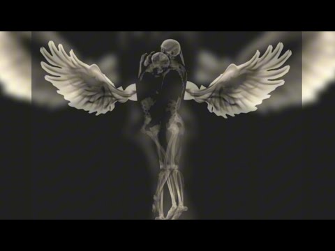 Fluturi albi • AEON BLANK feat. Ana Coman