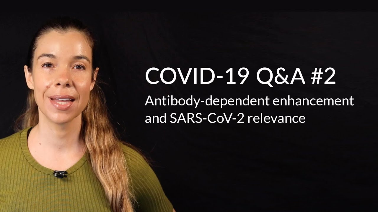 Is SARS-CoV-2 infection enhanced by our antibody response? | Rhonda Patrick