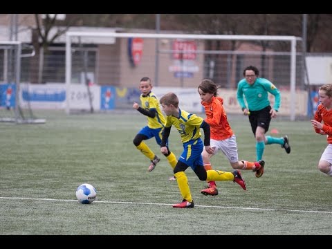 Samenvatting Veluwezoom JO11-1 - DVV JO11-1