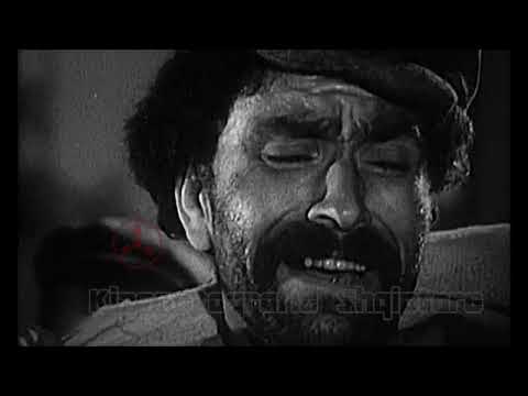 YJE TE SKENES | TIMO FLLOKO  - FOTOPROFIL!