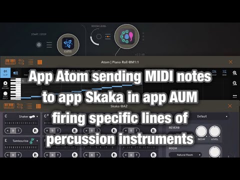 Apps Skaka + Atom + AUM HQ (iPad5 - Zé Osório)