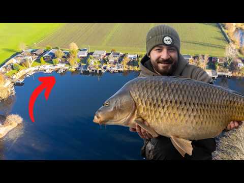 Prinderea de crap mare din grădina ta - Pescuitul crapului la temperaturi de îngheț!