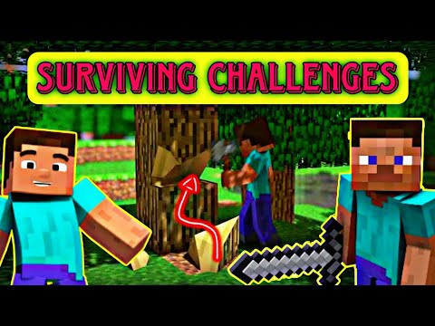 Insane Minecraft Survival Mode Challenges!