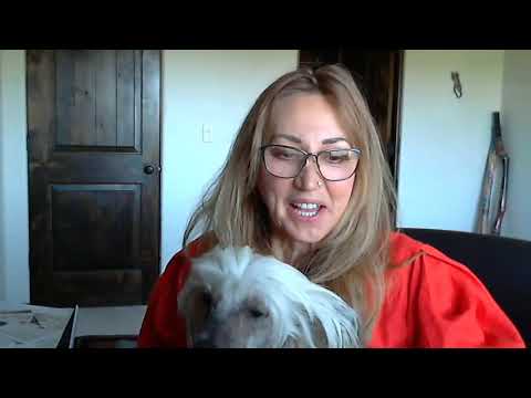 Copy of CANINE IDIOPATHIC EPILEPSY