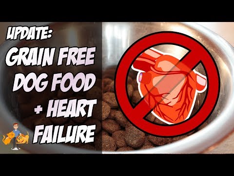 Update: Grain Free Dog Food and Heart Failure (there's more risks...) - Dog Health Vet Advice