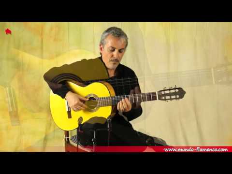 Pedro Javier González, Rondeña