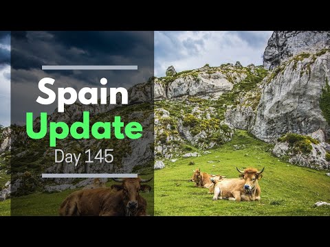 Spain update day 145 - PM Sanchez says economy won't recover until 2023