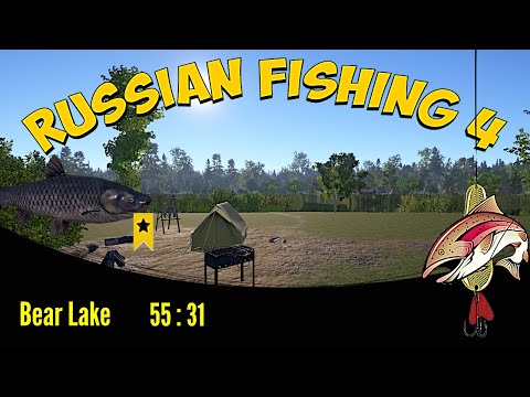 Russian fishing 4 - bear lake - trophy black carp