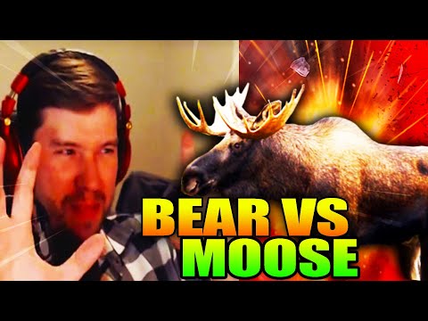 Who Wins a Fight– Bear or Moose?! Lions Kill HUNDREDS in Africa! – PKA 479 Moments