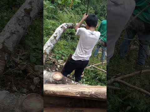 somos del campo lebrija Santander