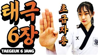 태극 6장 / 초보자는 이 영상만 보세요(앞 뒷모습 같이보세요) / Tae geuk 6 jang /Step-by-Step with Front & Back Side Views