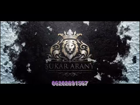 Leo 2021 - Dzsino küldi mindenkinek ( Káli taj buzsangli