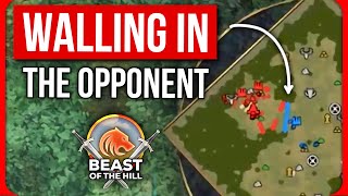 Avely's CRAZY Strat on GLADE in AOE4 - Beast of the Hill (Game 17-19)