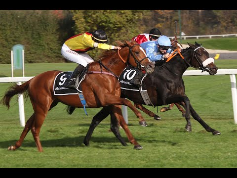 München - 8. November 2020: Allianz - Grosser Preis von Bayern (Gr. I) - Siegerin: Sunny Queen