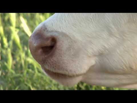 Mischfutter und Landhandel GmbH Edderitz