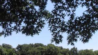 Heartsrevolution- Digital Suicide (Sonic Me remix)