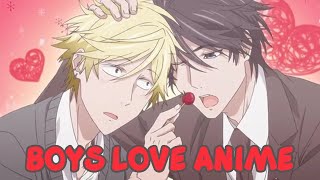 Top 10 Boys Love Anime For New Fans