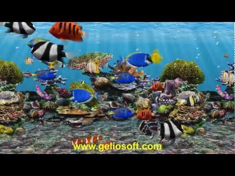 3D Fish School Aquarium Screensaver - Tropical Fish Tank for Windows HD