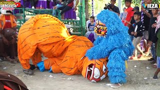 Download lagu AJIIBB... MACAN TARUNGAN VS GERANDOONG ~ BUROK DANGDUT CINTA NADA BUDAYA SHOW DUKUHWANGON 25/06/2024 mp3