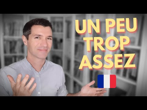 UN PEU, PEU, ASSEZ, BEAUCOUP, TROP DE... | French adverbes of quantity, formal and informal ways 🗣✅😁