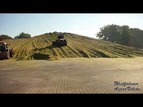 Ich und mein Mais Rückblick der letzten Maisernten