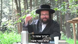 נשים הם לא סוג ב' | הרב יואל ראטה שליט"א  (הרב יואל ראטה) - התמונה מוצגת ישירות מתוך אתר האינטרנט יוטיוב. זכויות היוצרים בתמונה שייכות ליוצרה. קישור קרדיט למקור התוכן נמצא בתוך דף הסרטון