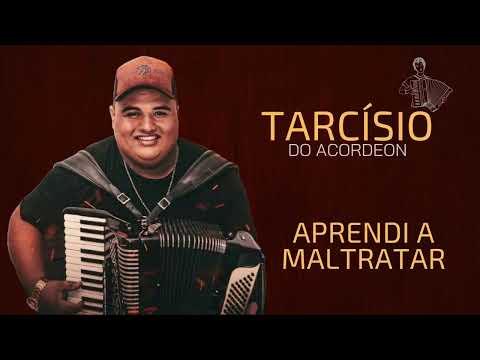 Tarcísio do acordeon - Aprendi a maltratar
