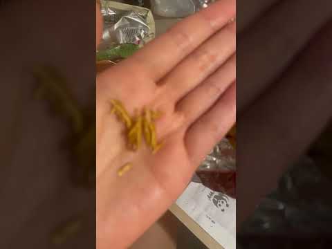 Complaint: Wood/Stick Found in Tyrrells Crisps - Image 2