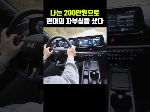 단돈 200만원으로, 현대의 자부심을 샀다