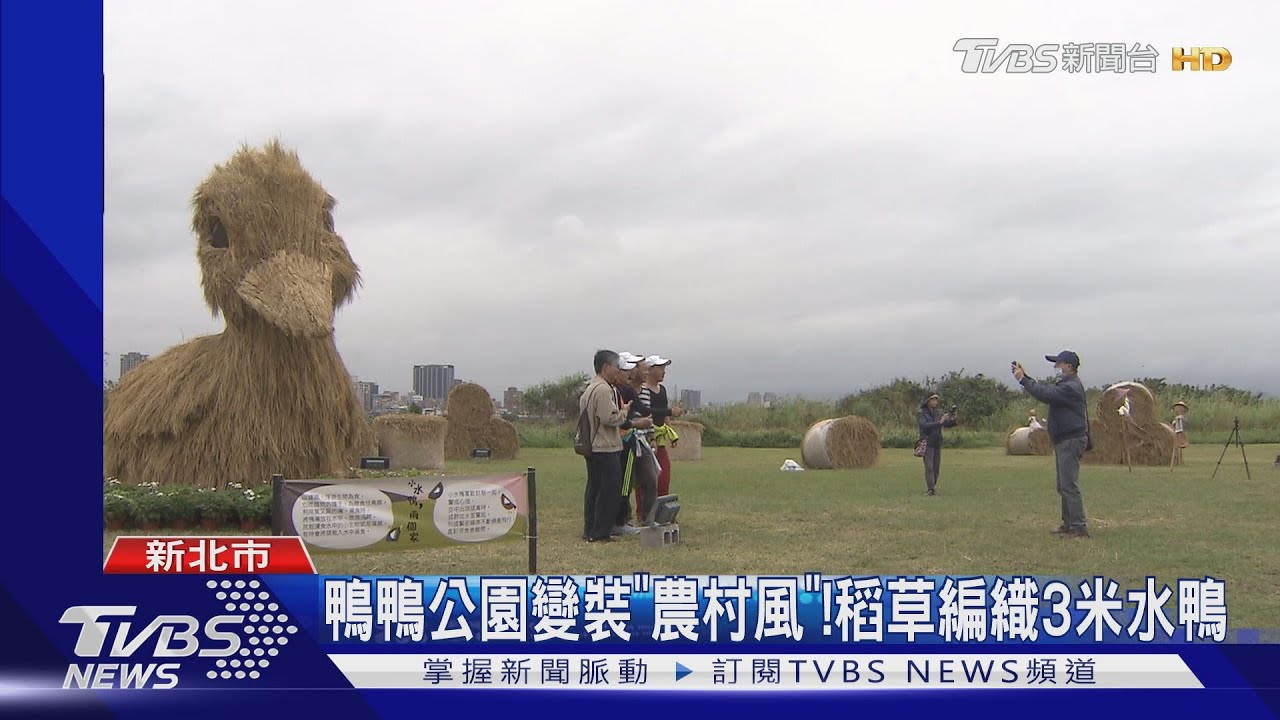 鴨鴨公園變裝「農村風」! 稻草編織3米水鴨