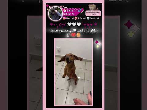 ف/تحب الحامض؟ 👁👄👁🥚#blackpink #اكسبلور #ترند #Bishr #fypシ #دعم #اكستيز #shorts