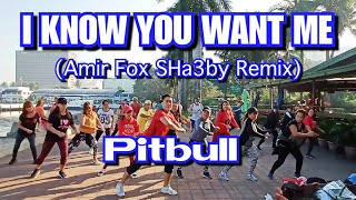 PITBULL - I KNOW YOU WANT ME (Amir Fox SHa3by Remix) | Dance Fitness |