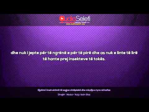 Gjykimi i instruktimit te zogjve shtepiake dhe mbyllja e tyre ne kafaz