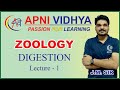 DIGESTION 01 ZOOLOGY JM SIR ENGLISH CLASS 11 APNI VIDHYA