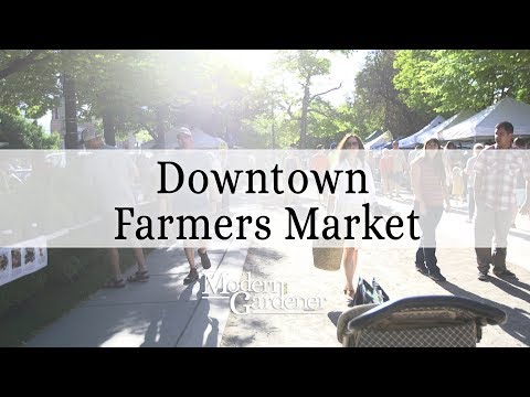 Fresh Local Produce at Downtown Salt Lake City Farmer's Market