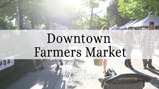 Fresh Local Produce at Downtown Salt Lake City Farmer