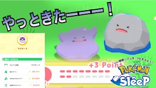 マスター4最終日で遂にあいつに出会えました【ポケモンスリープ】