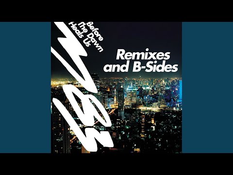 Don't Save Us From the Flames (Boom Bip Remix)