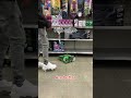 I Found Retractable Roller Skates It S Called HighRollers