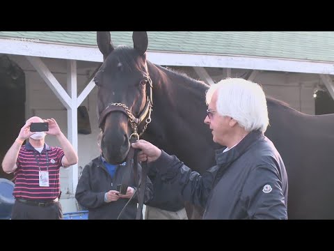 Failed post-race drug test confirmed for Derby 147 winner Medina Spirit