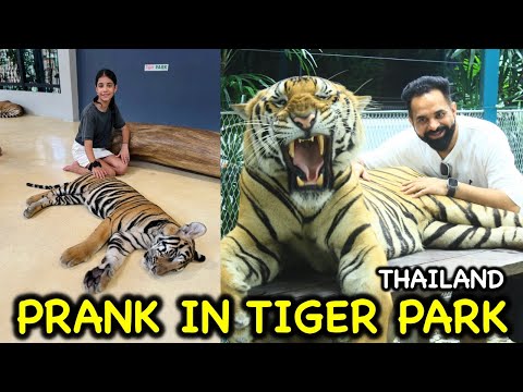 Tiger Park Mein Prank Kar Diya 😱 Going to Bangkok Thailand with Family | Ep. 8