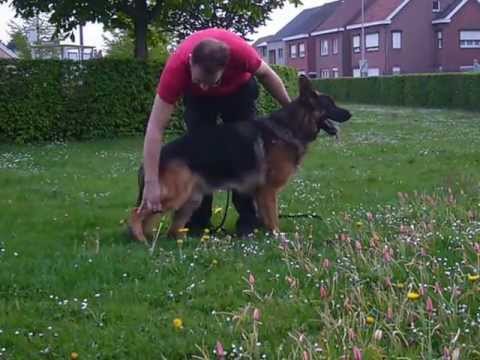 kain von der kaiserquelle 19m