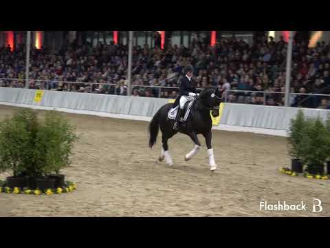 Trailer Burghof-Online-Hengstschau 2021