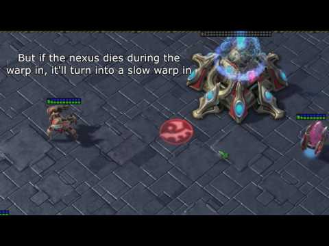 Breaking warp in animations? Useless Facts #8