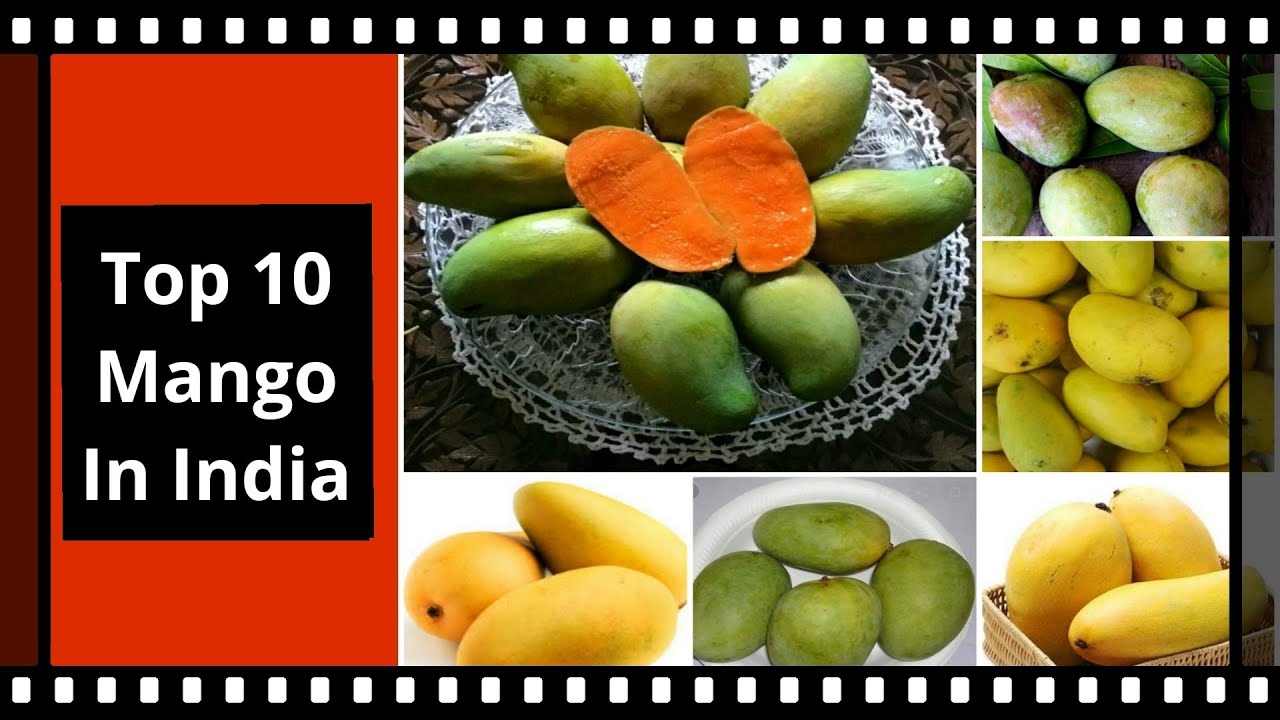 Top 10 Best Mango Varieties in India, By Garden gyan