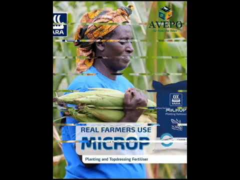 YARA MICROP EXPLANATION