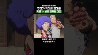 원피스) 쿠마가 악마의 열매를 먹을 수 밖에 없었던 이유