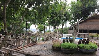 Bohol Bee Farm, Dauis, Philippines | Travel With Bhavya