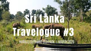 Sri Lanka Travelogue #3 - Hurulu Elephant Eco Park