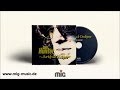 Ian Hunter - Michael Picasso